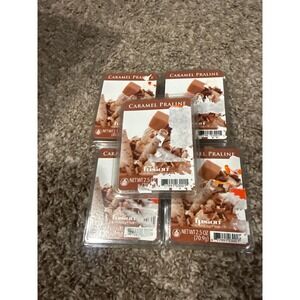 Fusion Caramel Praline Scented Wax Cubes 2.5 oz Lot of 5 Home Fragrance Melts